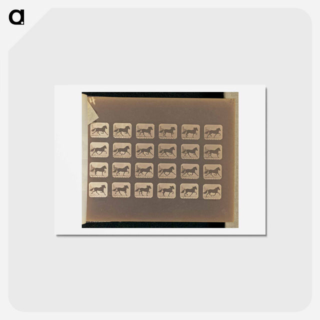 アートポストカード-Trotting
 - エドワード マイブリッジ Postcard.