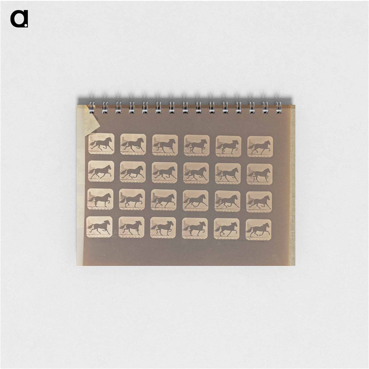 アートメモ帳-Trotting
 - エドワード マイブリッジ Memo.