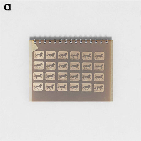 アートメモ帳-Trotting
 - エドワード マイブリッジ Memo.