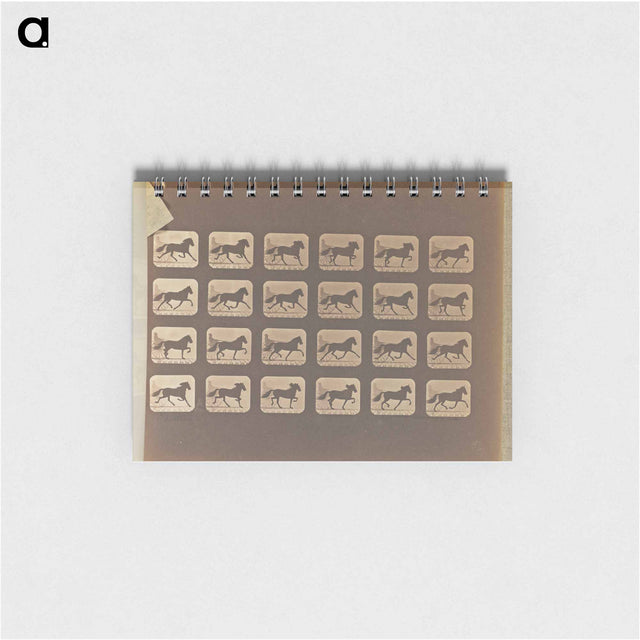 アートメモ帳-Trotting
 - エドワード マイブリッジ Memo.