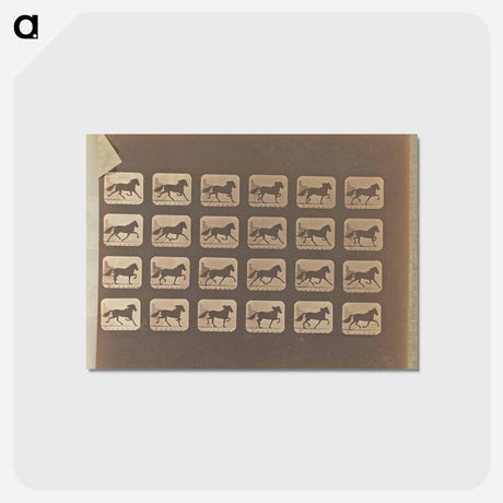 アートポストカード-Trotting
 - エドワード マイブリッジ Postcard.