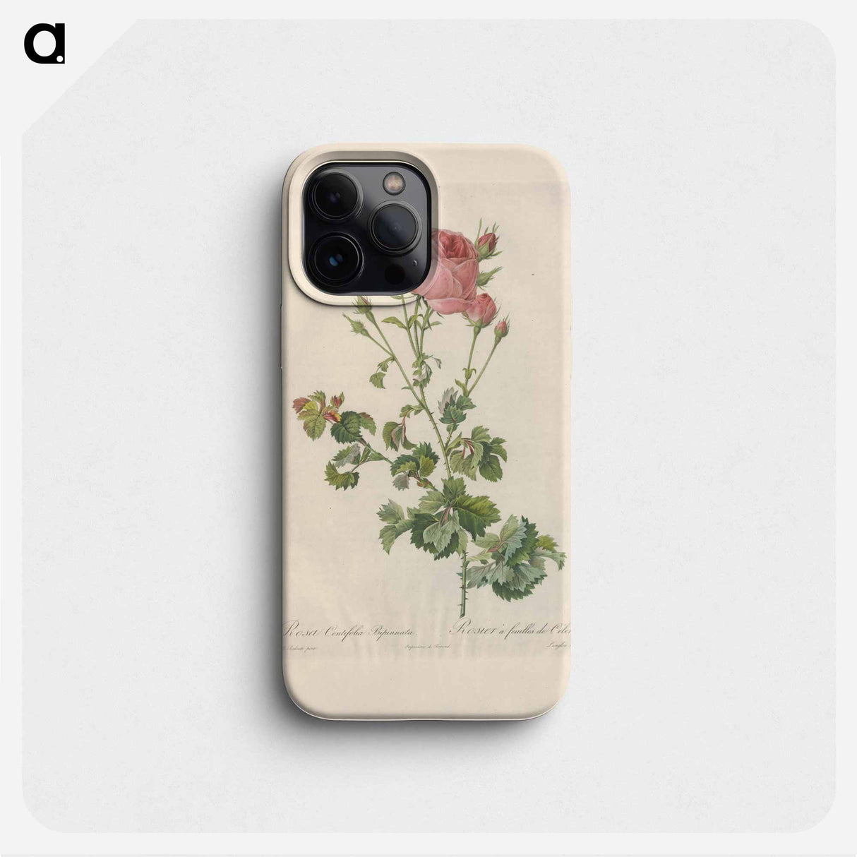 Rose illustration - ピエール ジョゼフ ルドゥーテ Phone Case.