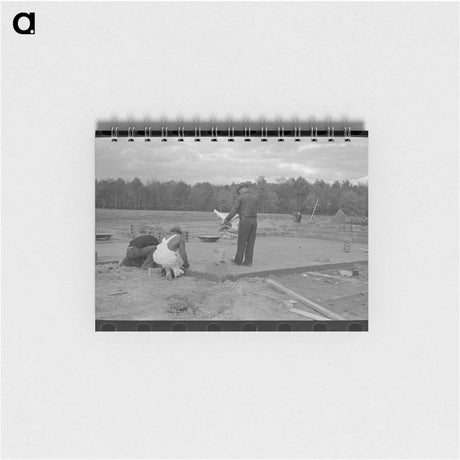 アートメモ帳-Dehydrated Cabbage Quality
 - ラッセル リー Memo.