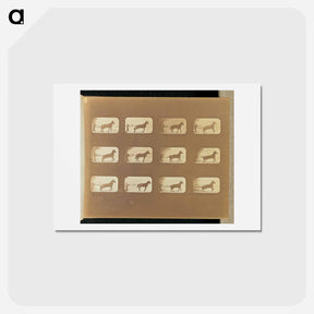 アートポストカード-Hauling
 - エドワード マイブリッジ Postcard.