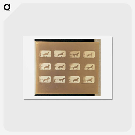 アートポストカード-Hauling
 - エドワード マイブリッジ Postcard.