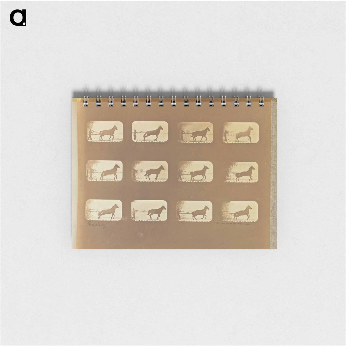 アートメモ帳-Hauling
 - エドワード マイブリッジ Memo.