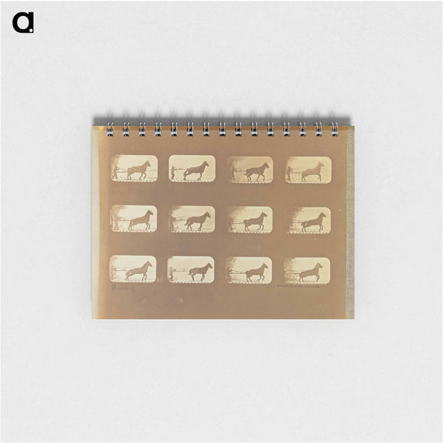 アートメモ帳-Hauling
 - エドワード マイブリッジ Memo.