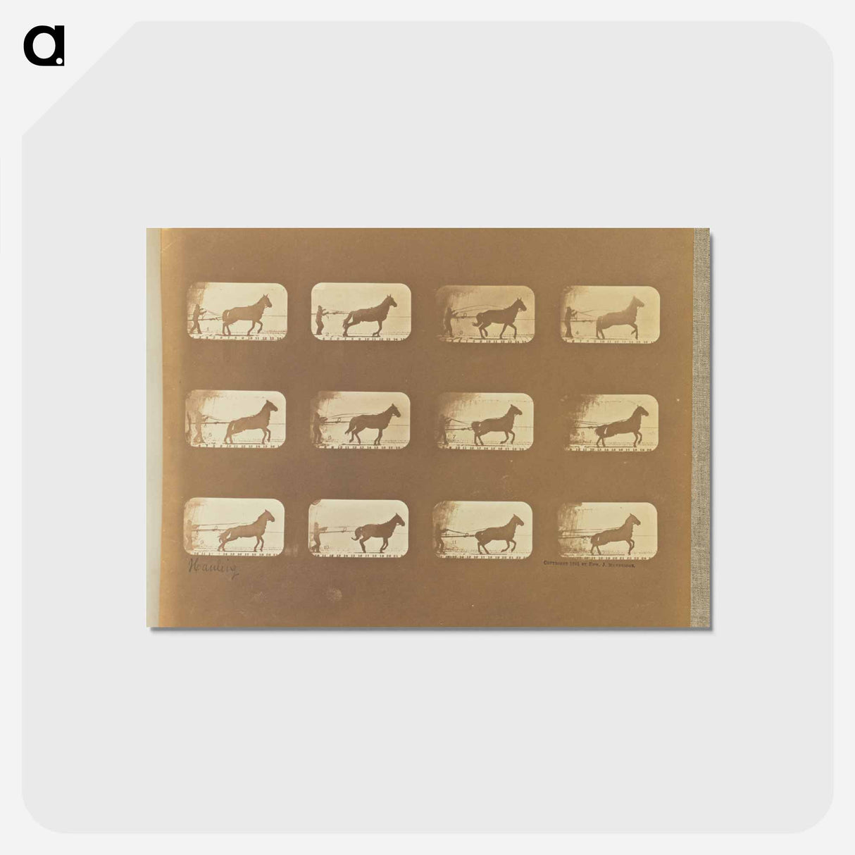 アートポストカード-Hauling
 - エドワード マイブリッジ Postcard.