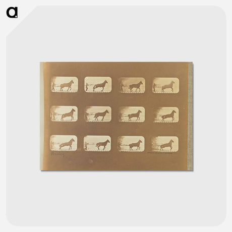 アートポストカード-Hauling
 - エドワード マイブリッジ Postcard.
