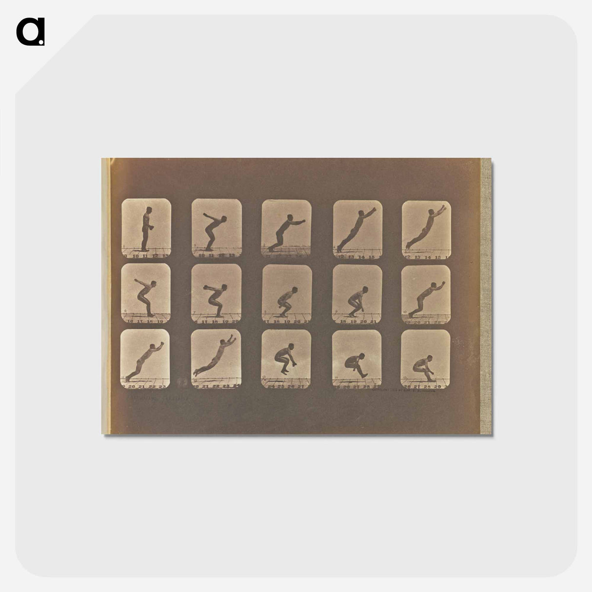 アートポストカード-Standing Jumps
 - エドワード マイブリッジ Postcard.