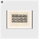 アートポストカード-Lioness Walking
 - エドワード マイブリッジ Postcard.