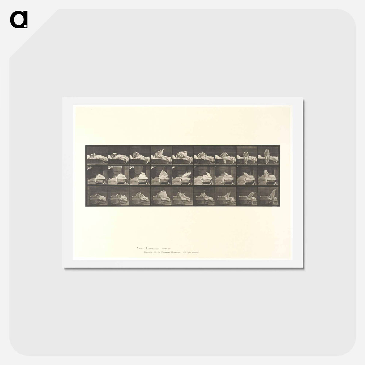 アートポストカード-Wrestling Men
 - エドワード マイブリッジ Postcard.