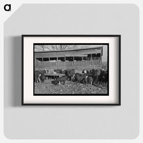 アートポスター-Emrick Farm: Cattle and Hogs Feeding
 - ラッセル リー Poster.