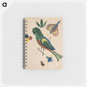 アートメモ帳-Parakeet
 - バーンズ・コレクション Memo.