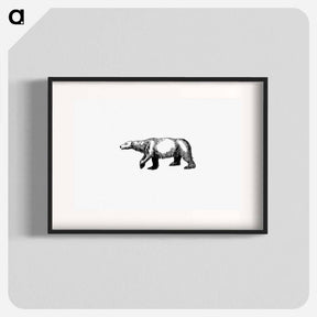 アートポスター-Polar Bear from A Peep At The Esquimaux; Or Scenes On The Ice: To Which Is Annexed A Polar Pastoral
 - 大英図書館 Poster.
