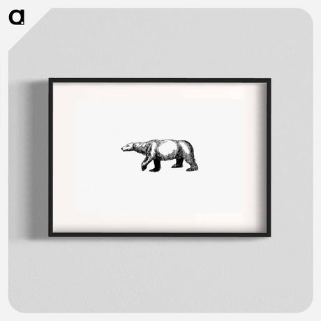 アートポスター-Polar Bear from A Peep At The Esquimaux; Or Scenes On The Ice: To Which Is Annexed A Polar Pastoral
 - 大英図書館 Poster.