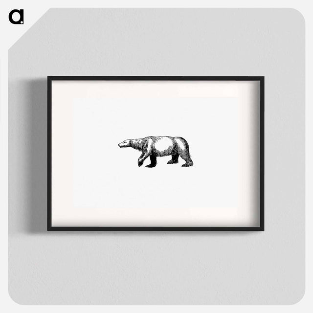アートポスター-Polar Bear from A Peep At The Esquimaux; Or Scenes On The Ice: To Which Is Annexed A Polar Pastoral
 - 大英図書館 Poster.