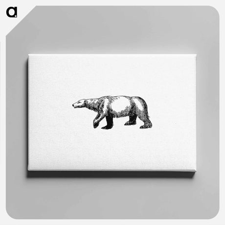 アートパネル-Polar Bear from A Peep At The Esquimaux; Or Scenes On The Ice: To Which Is Annexed A Polar Pastoral
 - 大英図書館 Canvas.