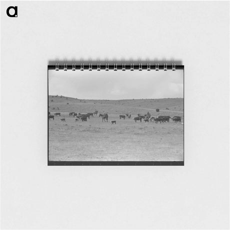 アートメモ帳-Shasta County Stream
 - ラッセル リー Memo.