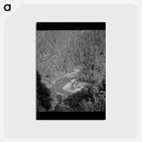 アートポストカード-Shasta County Stream
 - ラッセル リー Postcard.