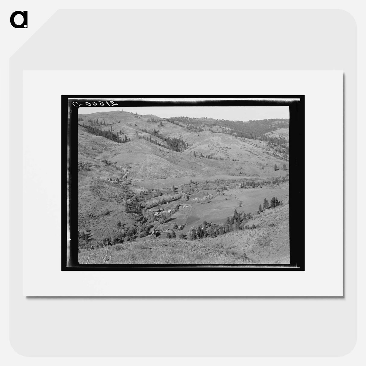 Untitled photo, possibly related to: Upper end of Squaw Creek Valley near the mill, showing part of the timber resources. Ola self-help sawmill co-op. Gem County, Idaho. General caption 48 - ドロテア ラング Poster.