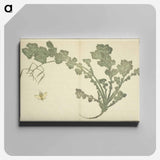 アートパネル-Hokusai's leaf - 葛飾 北斎 Canvas.