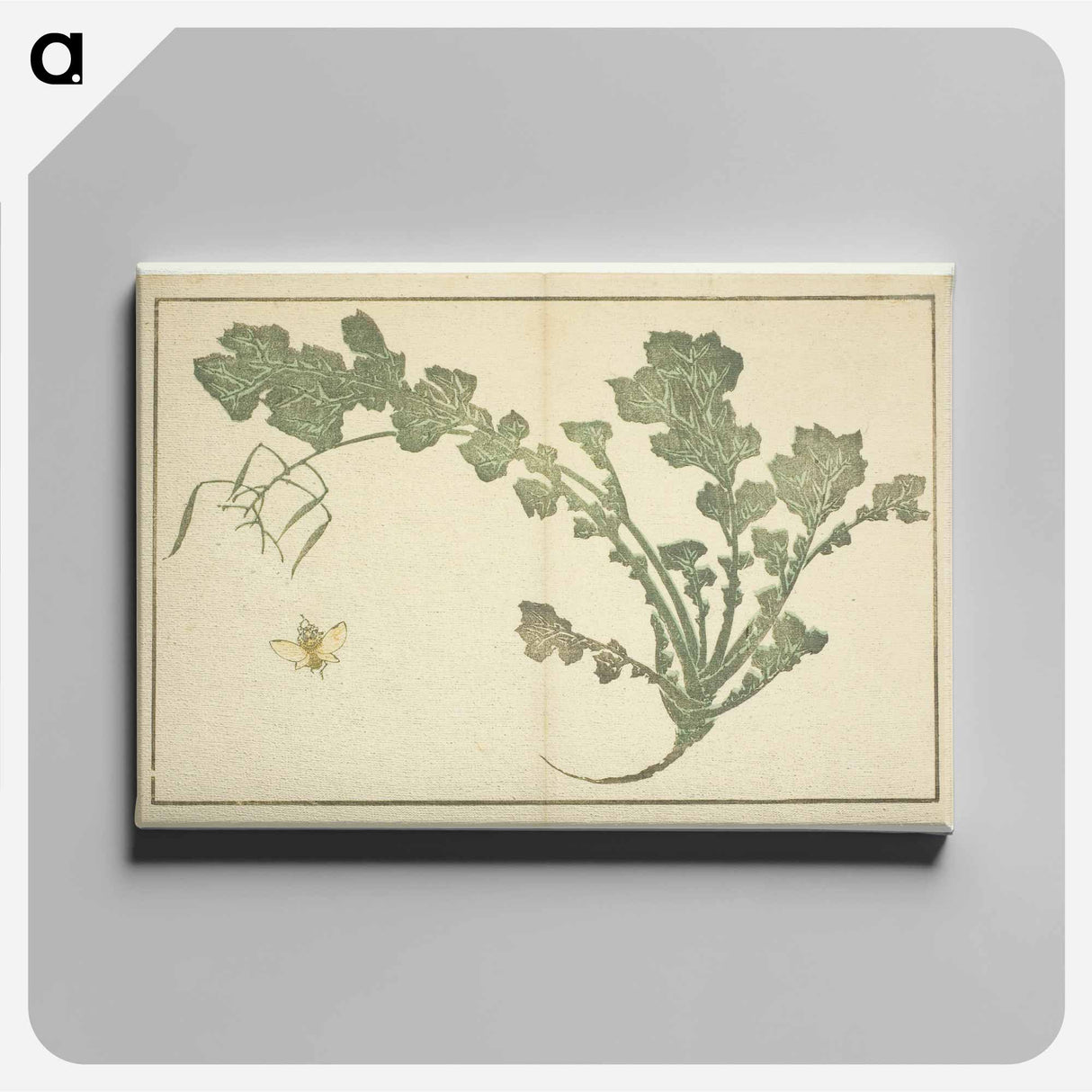 Hokusai's leaf - 葛飾 北斎 Canvas.