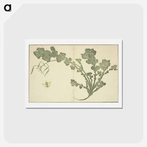 アートポストカード-Hokusai's leaf - 葛飾 北斎 Postcard.