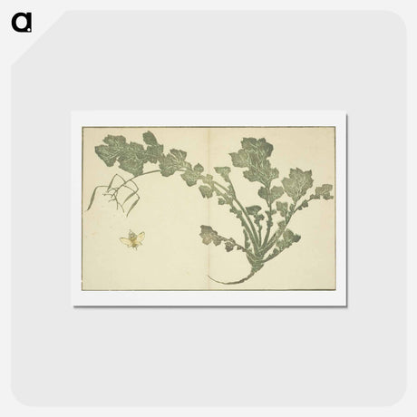 アートポストカード-Hokusai's leaf - 葛飾 北斎 Postcard.