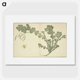 アートポスター-Hokusai's leaf - 葛飾 北斎 Poster.
