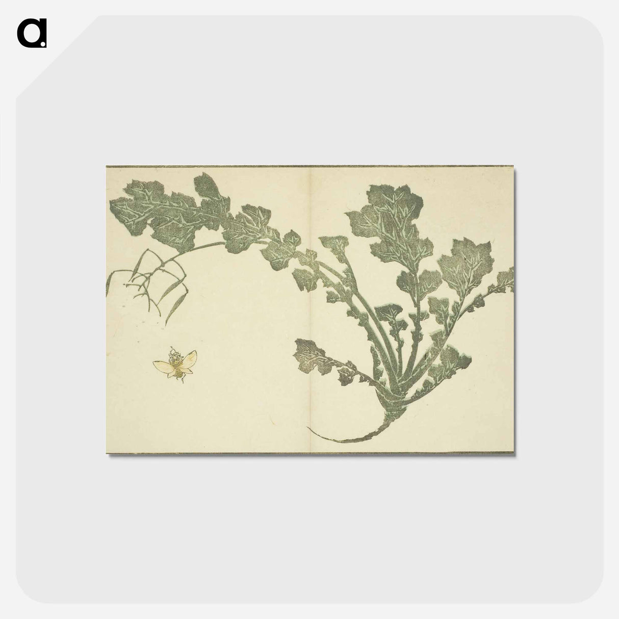 アートポストカード-Hokusai's leaf - 葛飾 北斎 Postcard.