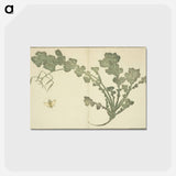 アートポストカード-Hokusai's leaf - 葛飾 北斎 Postcard.