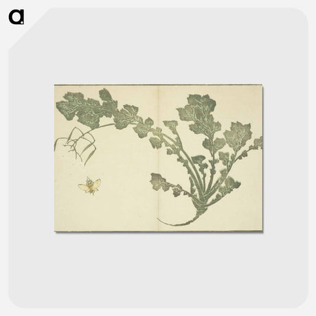 アートポストカード-Hokusai's leaf - 葛飾 北斎 Postcard.
