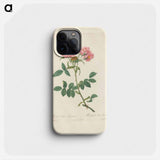 Rose illustration - ピエール ジョゼフ ルドゥーテ Phone Case.