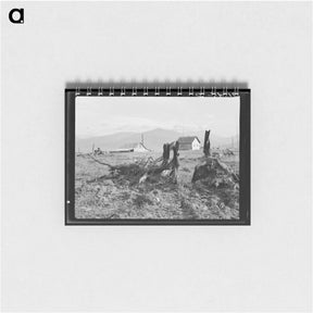 アートメモ帳-Untitled photo - ドロテア ラング Memo.
