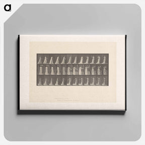 アートパネル-Woman Drinking
 - エドワード マイブリッジ Canvas.