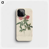 Rose illustration - ピエール ジョゼフ ルドゥーテ Phone Case.