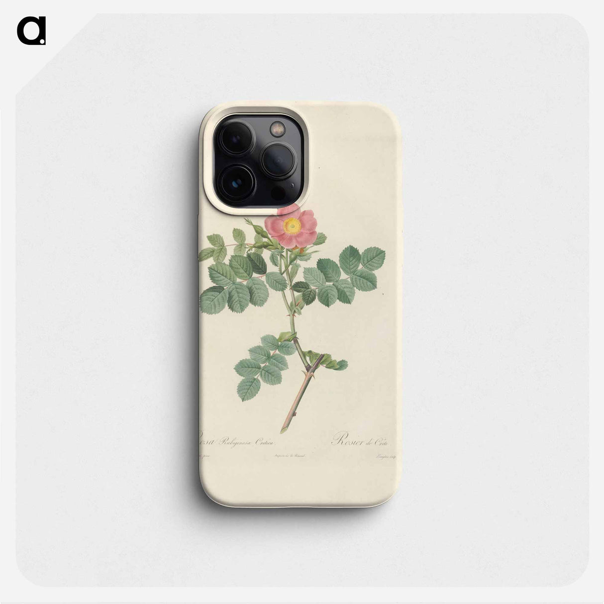 Rose illustration - ピエール ジョゼフ ルドゥーテ Phone Case.