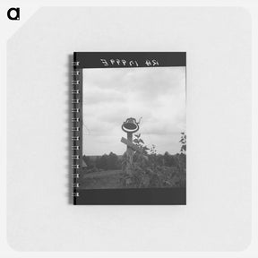アートメモ帳-Untitled photo - ドロテア ラング Memo.