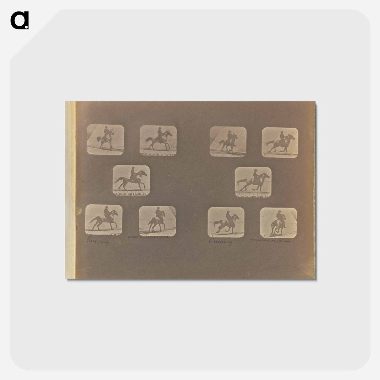 アートポストカード-Running
 - エドワード マイブリッジ Postcard.