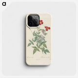 Rose illustration - ピエール ジョゼフ ルドゥーテ Phone Case.