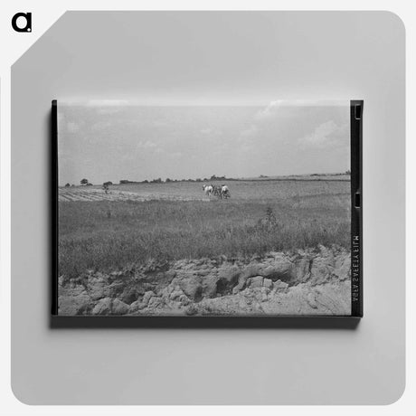アートパネル-Pears Arriving
 - ラッセル リー Canvas.