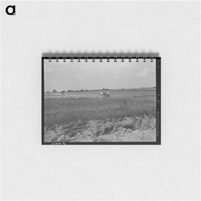 アートメモ帳-Pears Arriving
 - ラッセル リー Memo.