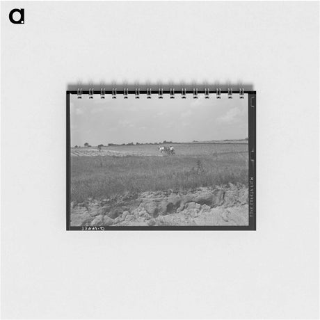 アートメモ帳-Pears Arriving
 - ラッセル リー Memo.
