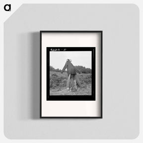 アートポスター-Scarecrow on a newly cleared field with stumps near Roxboro, North Carolina - ドロテア ラング Poster.