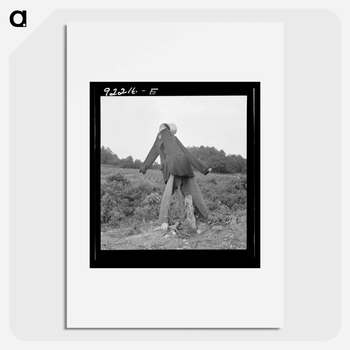 Scarecrow on a newly cleared field with stumps near Roxboro, North Carolina - Dorothea Lange Poster.