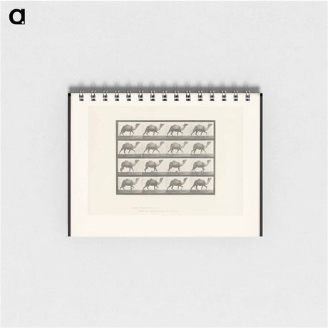 アートメモ帳-Humpback Camel
 - エドワード マイブリッジ Memo.