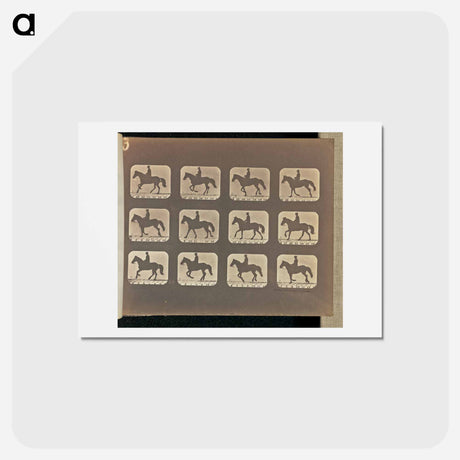 アートポストカード-Cantering
 - エドワード マイブリッジ Postcard.