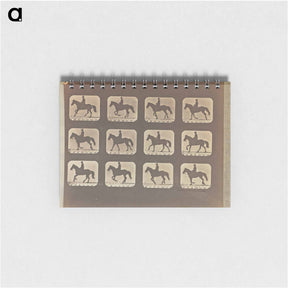 アートメモ帳-Cantering
 - エドワード マイブリッジ Memo.
