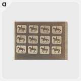 アートポストカード-Cantering
 - エドワード マイブリッジ Postcard.